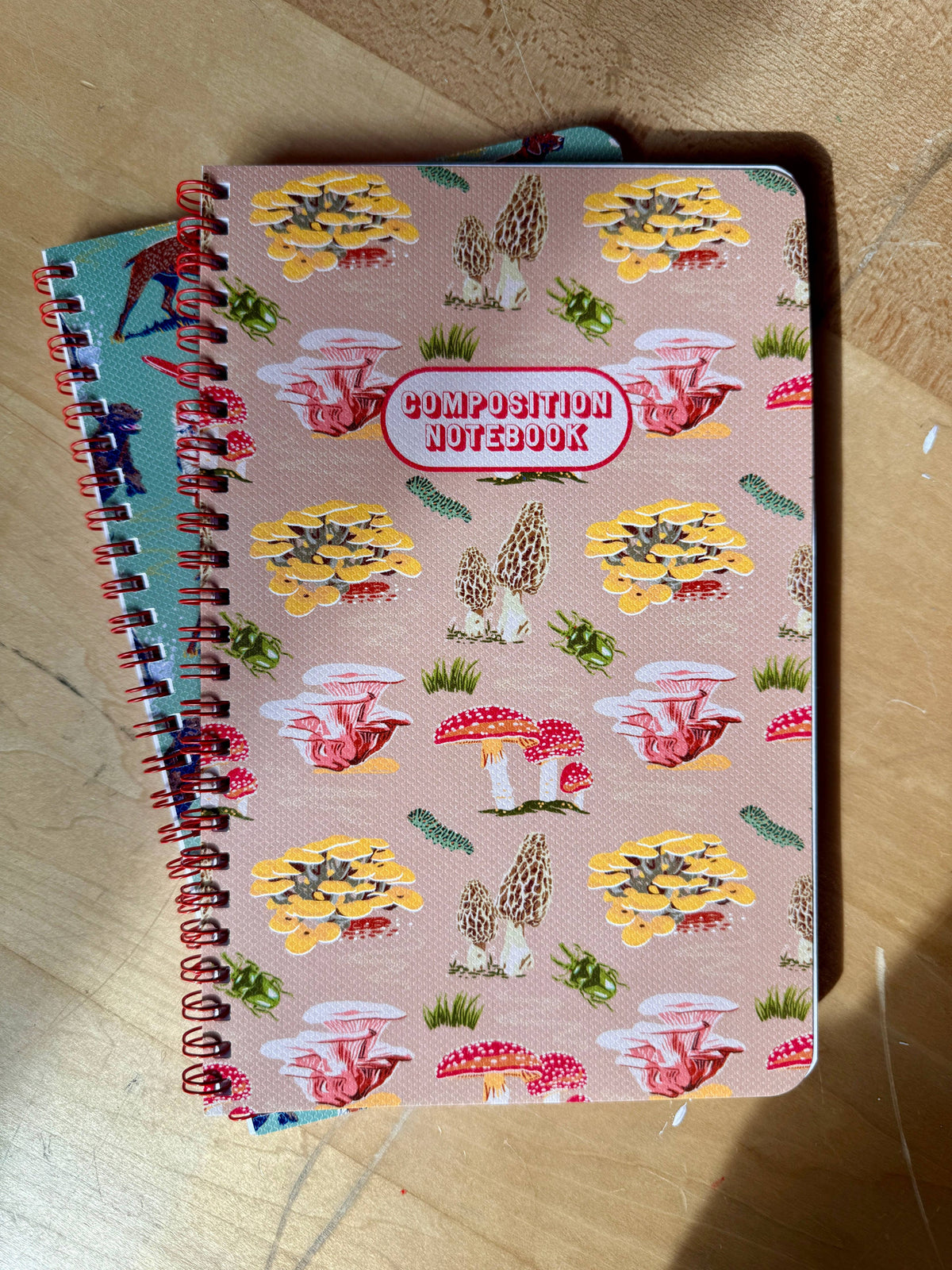 Playlist Notebook | Mushrooms