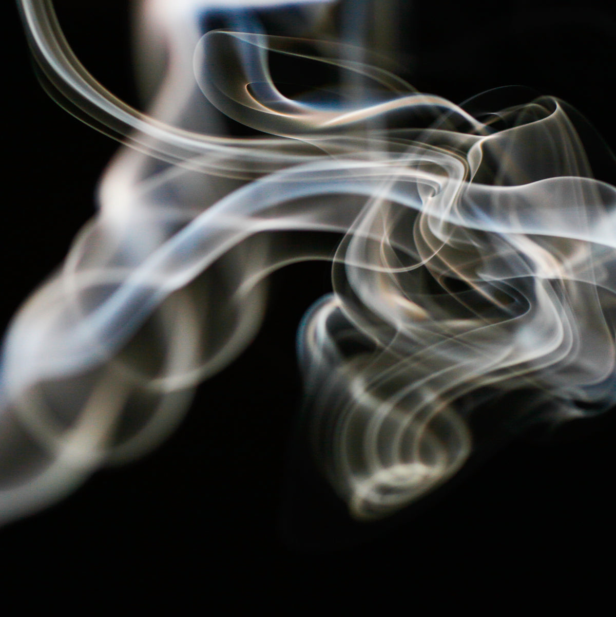 Up In Smoke