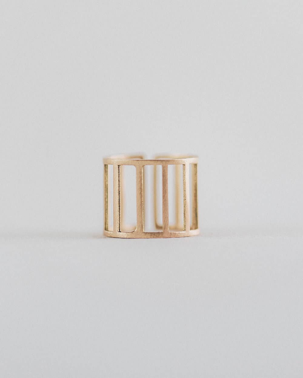 Aviary Ring