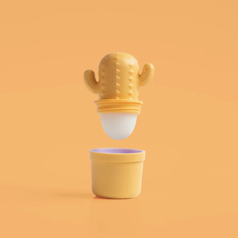 Cactus | Lip Balm
