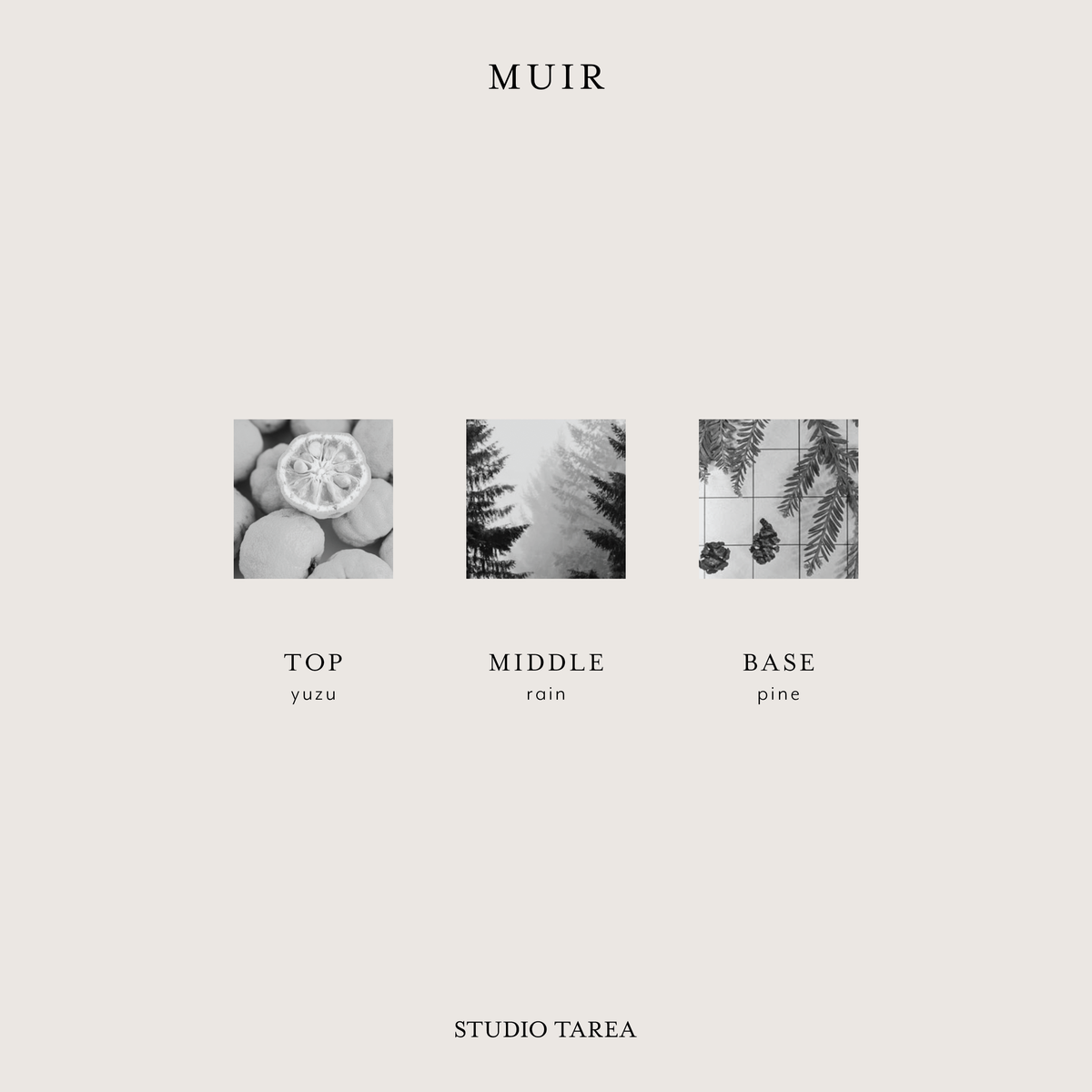 Muir Candle